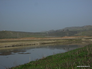 lle del Simeto-24-02-2013 08-51-06